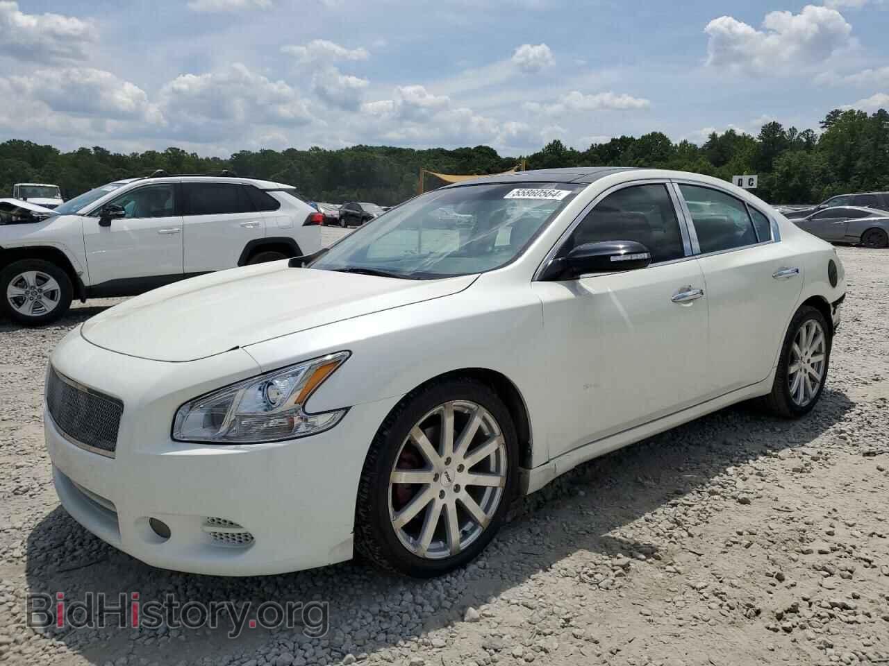 Фотография 1N4AA5AP3BC807792 - NISSAN MAXIMA 2011