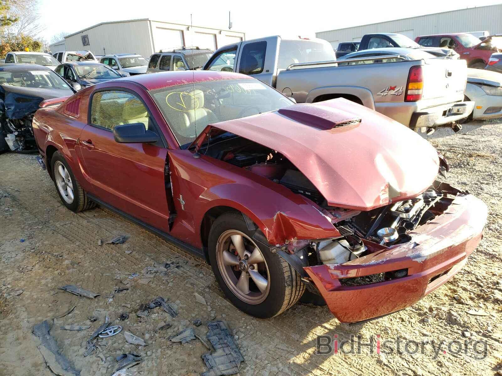 Photo 1ZVHT80N785116019 - FORD MUSTANG 2008