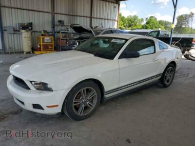 2010 Ford ALL MODELS, белый — VIN 1ZVBP8AN1A5169877, Copart