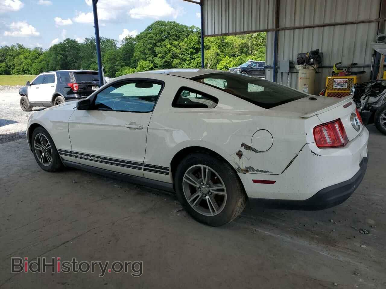 2010 FORD ALL Models - VIN: 1ZVBP8AN1A5169877 - Фото 2