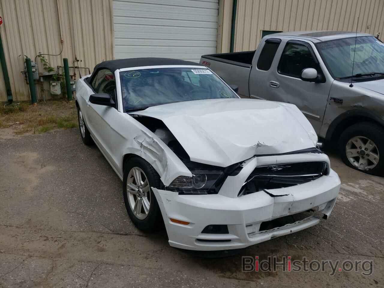 Photo 1ZVBP8EMXE5310985 - FORD MUSTANG 2014