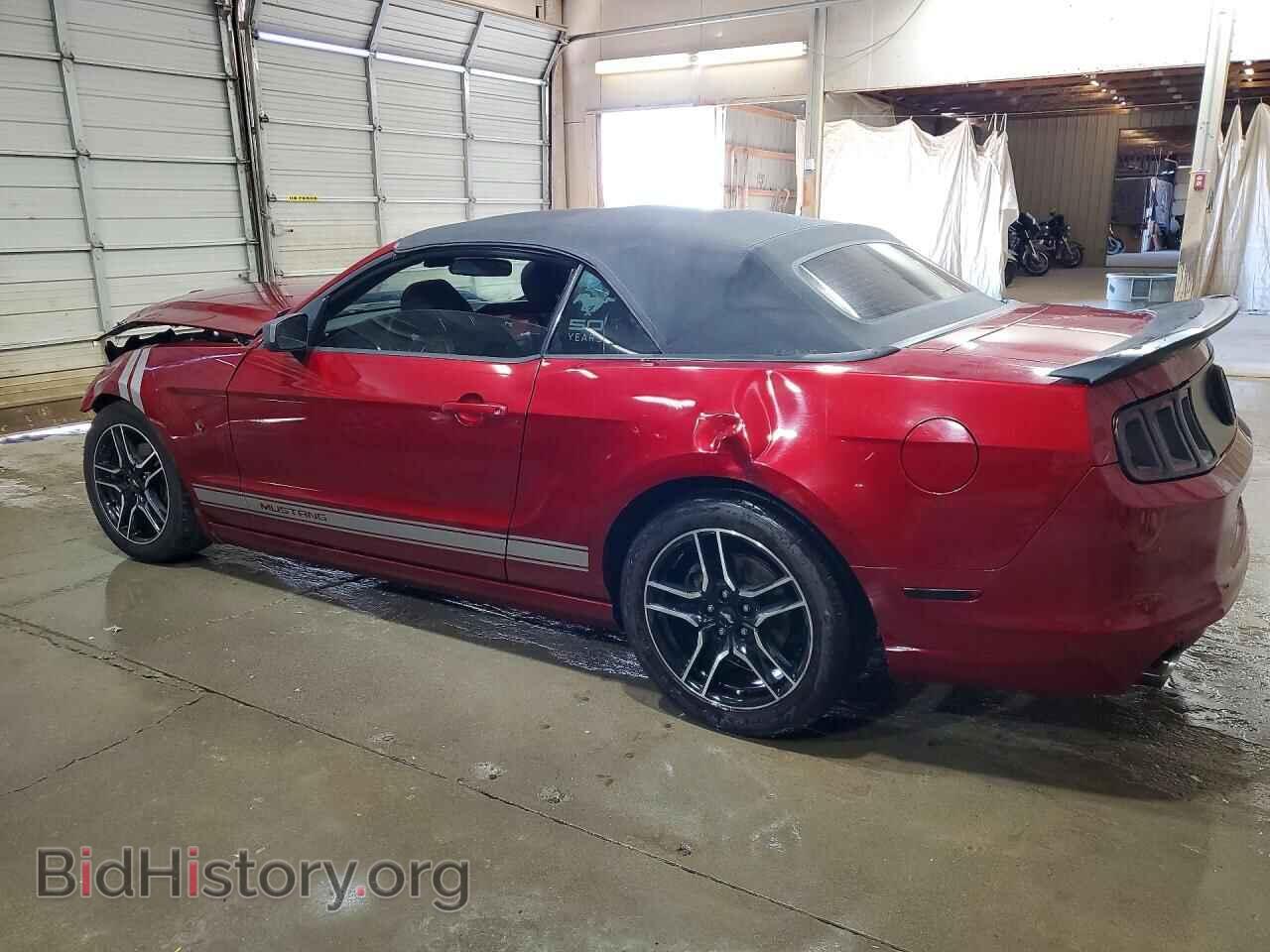 2014 FORD MUSTANG - VIN: 1ZVBP8EM8E5285620 - Фото 2