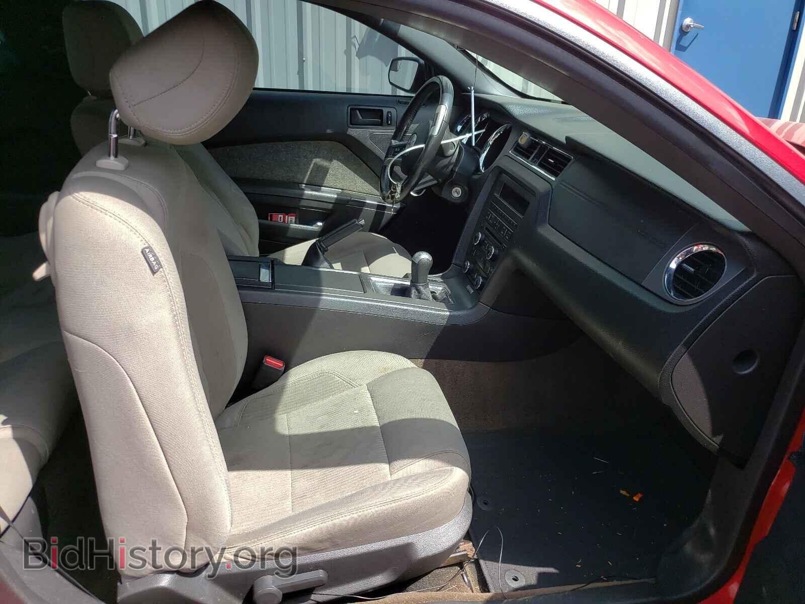 2013 FORD MUSTANG - VIN: 1ZVBP8CF1D5282626 - Фото 5