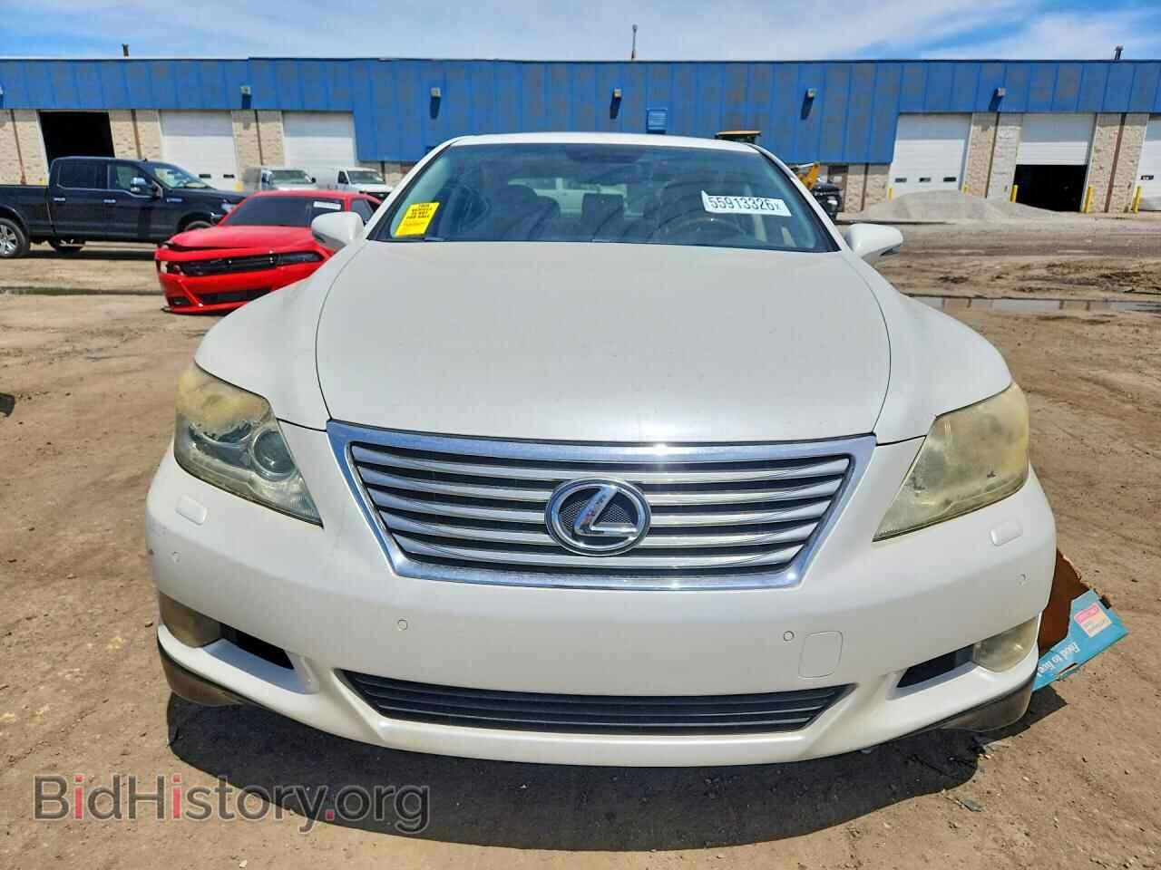2010 LEXUS LS460 - VIN: JTHCL5EF1A5005113 - Фото 5