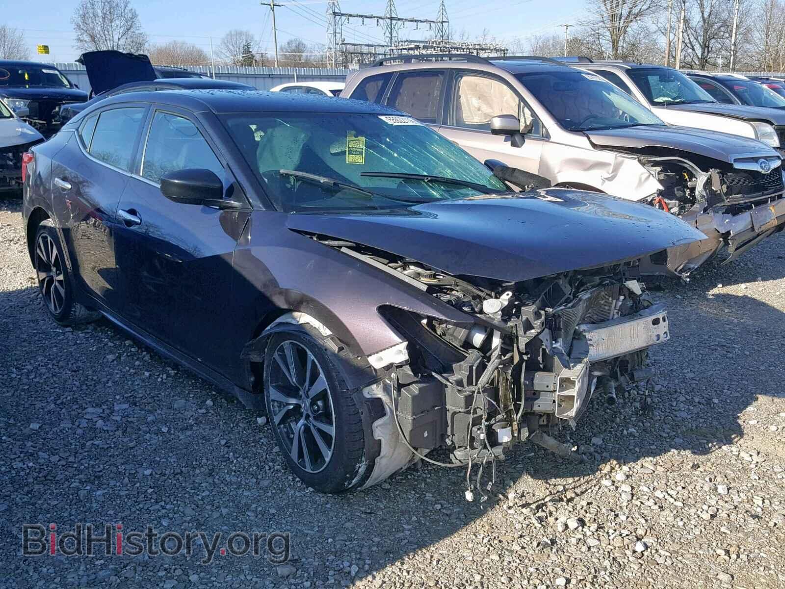 Photo 1N4AA6AP1HC361138 - NISSAN MAXIMA 2017