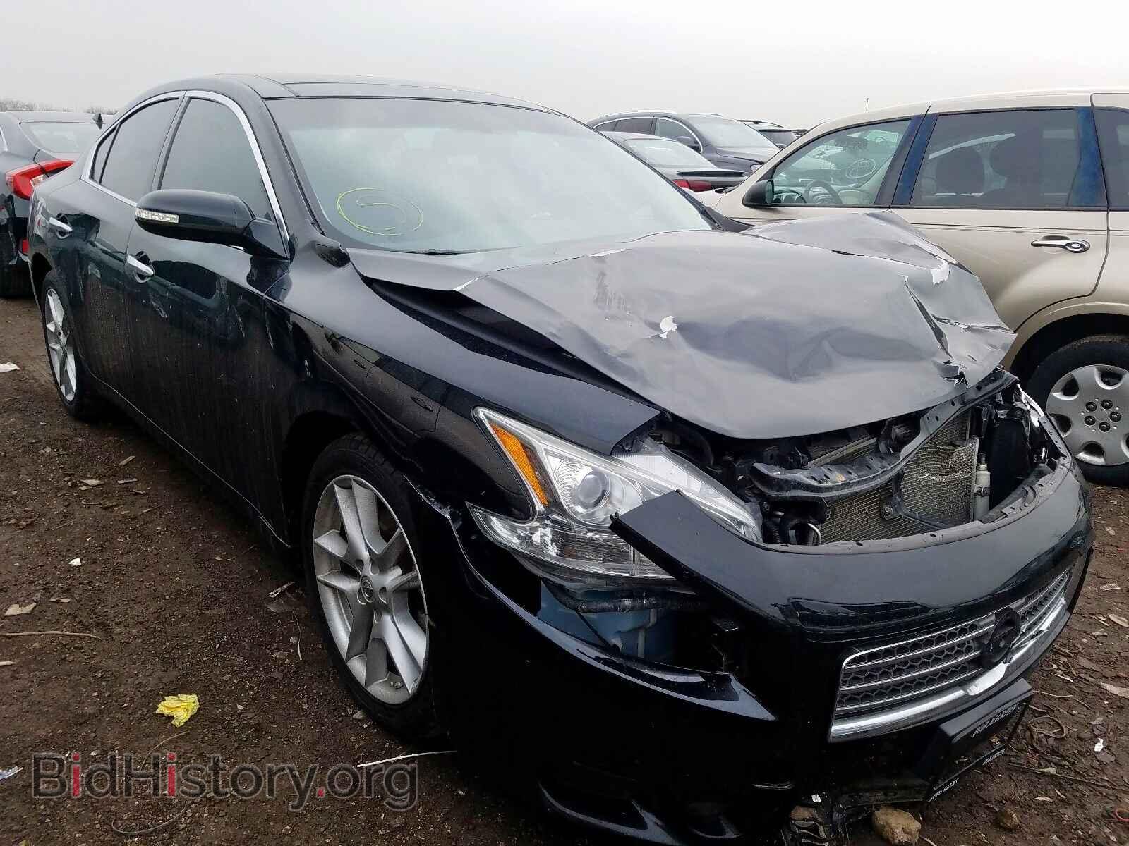 Photo 1N4AA5AP1BC841293 - NISSAN MAXIMA 2011