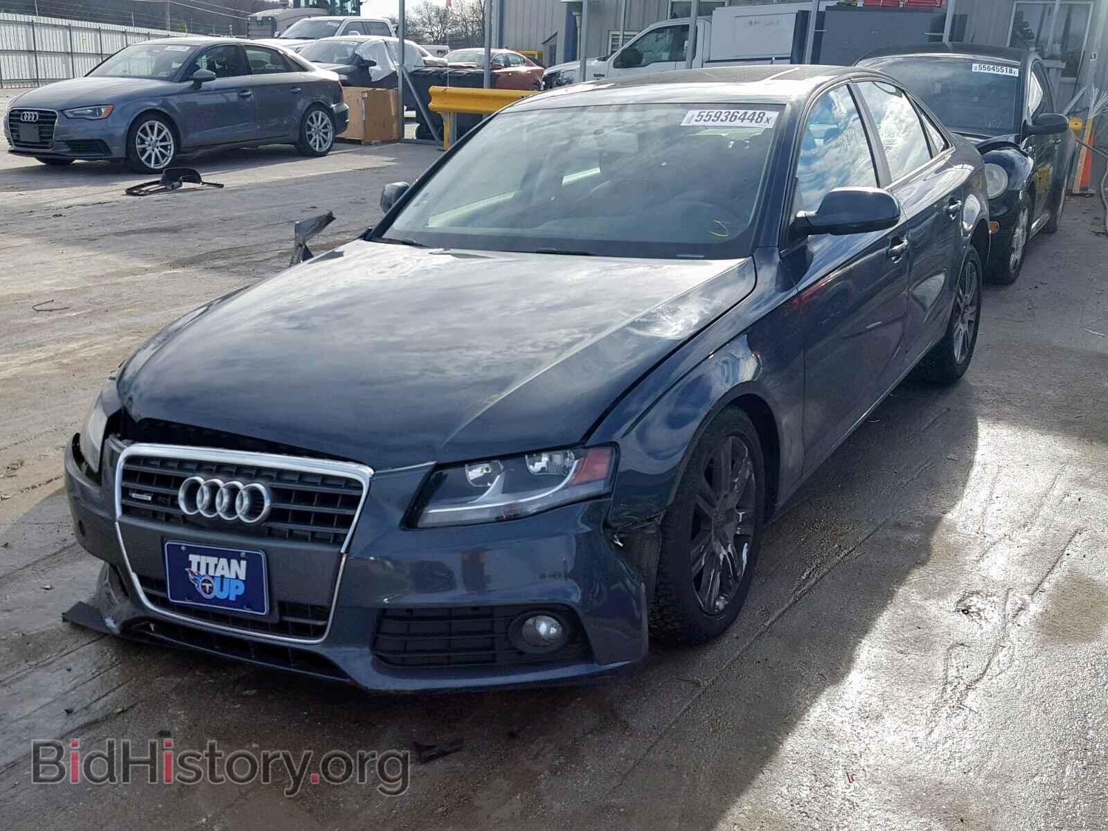 2010 AUDI A4 - VIN: WAUBFAFL7AN007771 - Фото 2