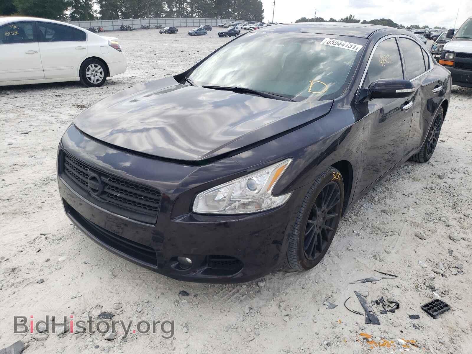 2010 NISSAN MAXIMA - VIN: 1N4AA5AP7AC840213 - Фото 2