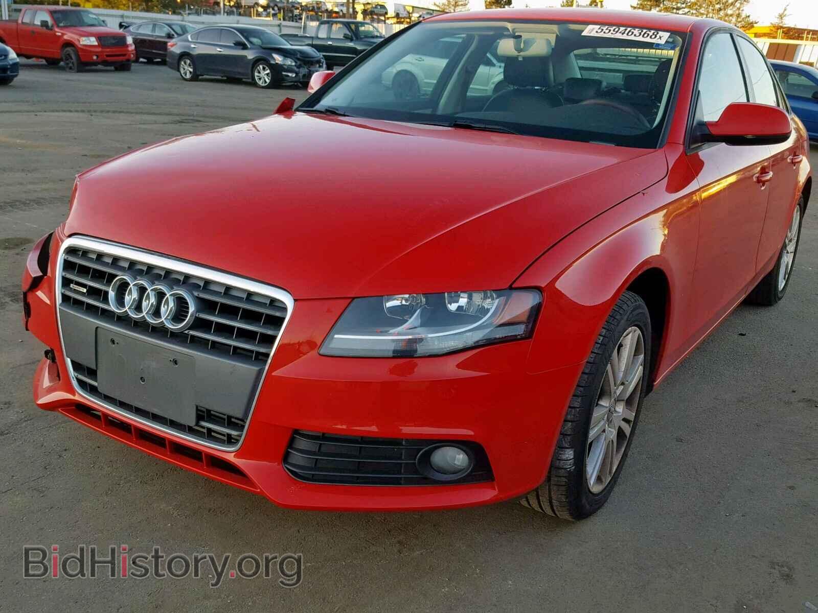 2010 AUDI A4 - VIN: WAUBFAFL2AN022579 - Фото 2