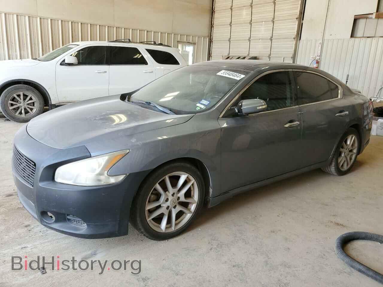 Photo 1N4AA5AP9AC873844 - NISSAN MAXIMA 2010