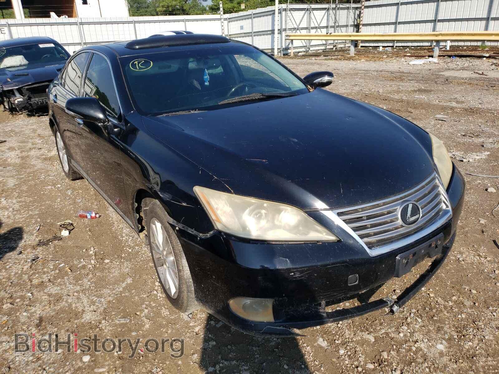 Фотография JTHBK1EG8A2344694 - LEXUS ES350 2010