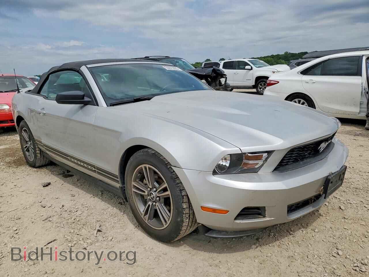 2010 FORD MUSTANG - VIN: 1ZVBP8EN5A5107568 - Фото 4