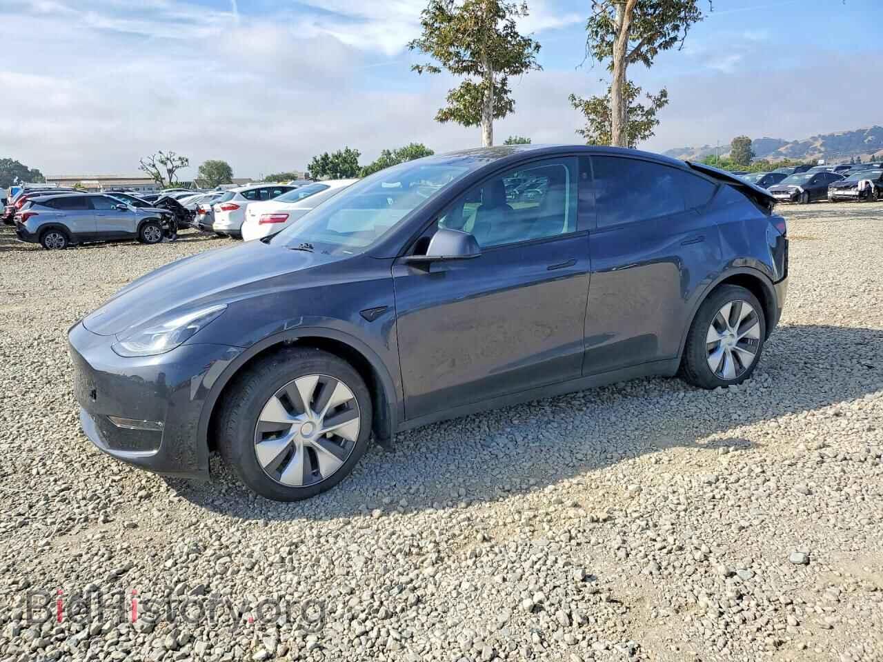Фотография 7SAYGDEE9RF054179 - TESLA MODEL Y 2024