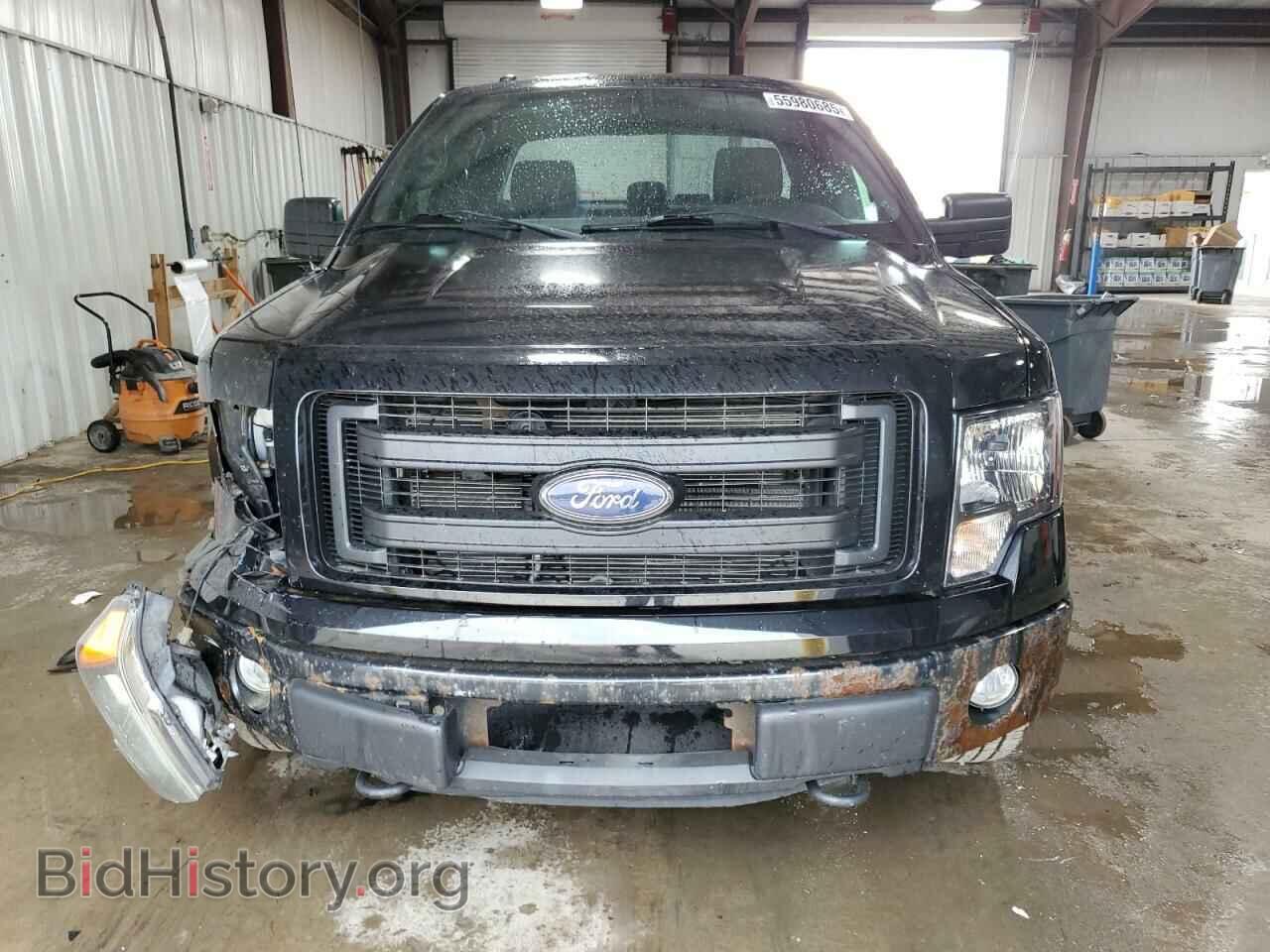 2013 FORD F-150 - VIN: 1FTFX1EF4DFD78768 - Фото 5