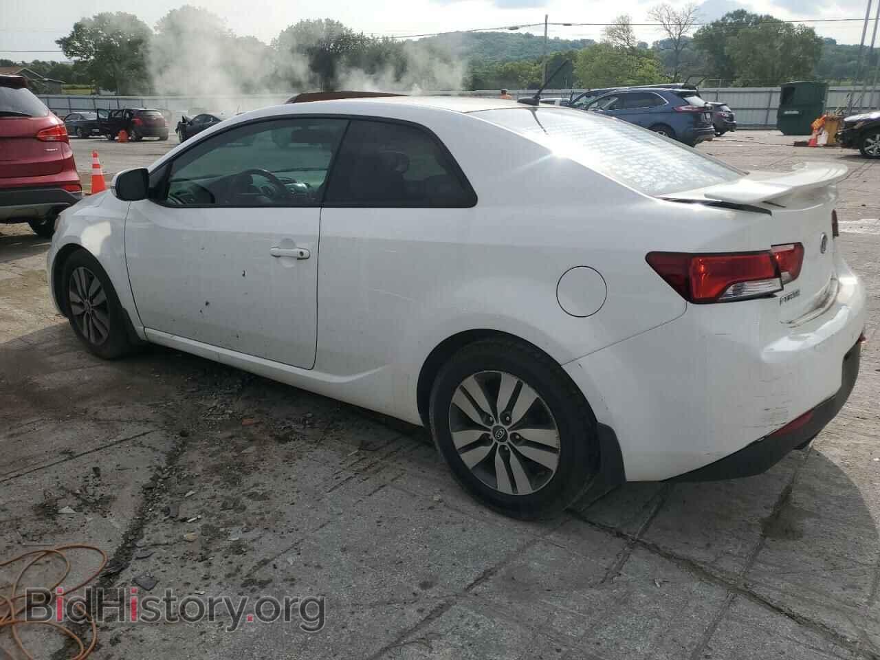 2013 KIA FORTE - VIN: KNAFU6A24D5695090 - Фото 2