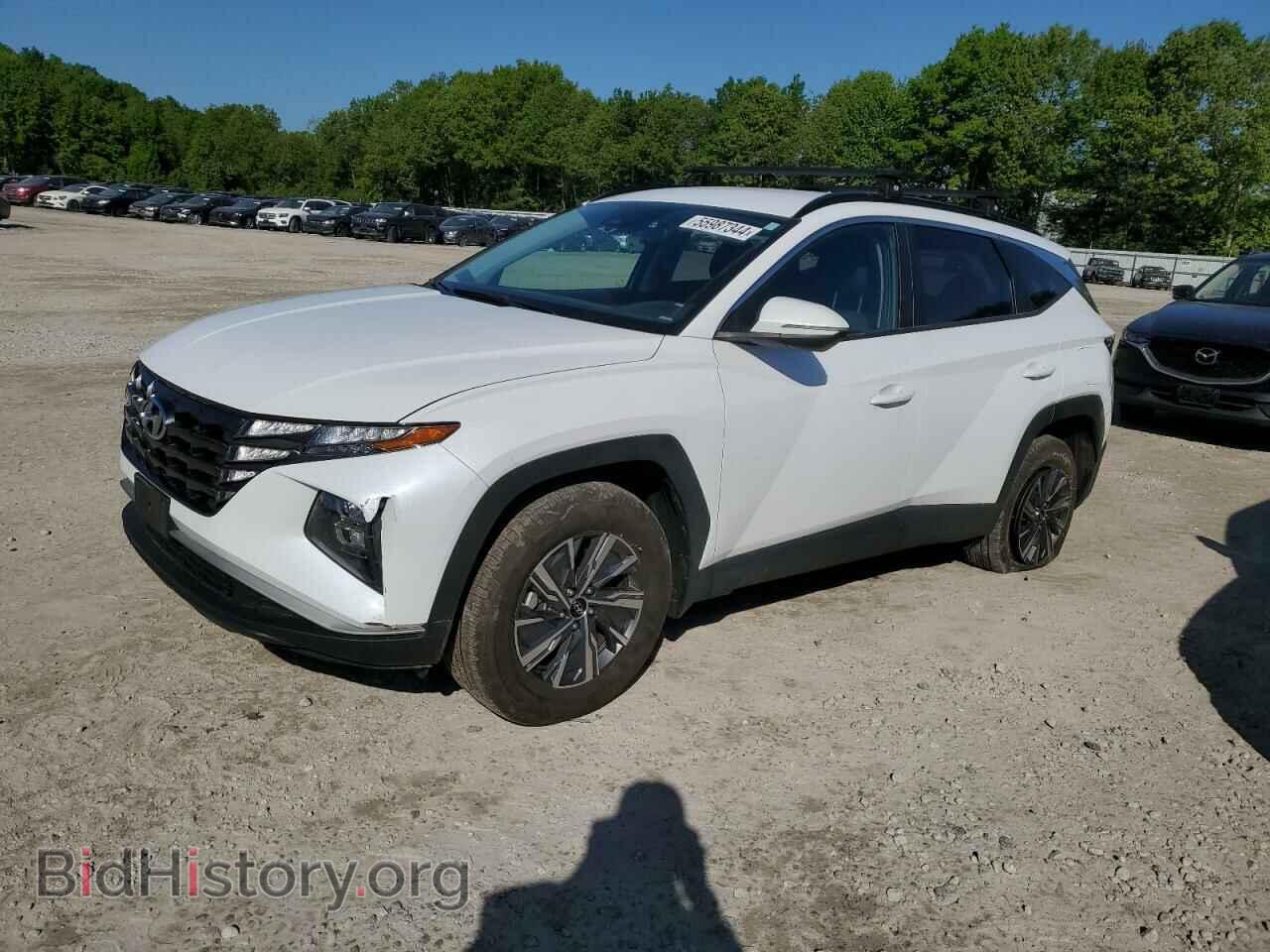 Фотография KM8JBCA19PU088813 - HYUNDAI TUCSON 2023