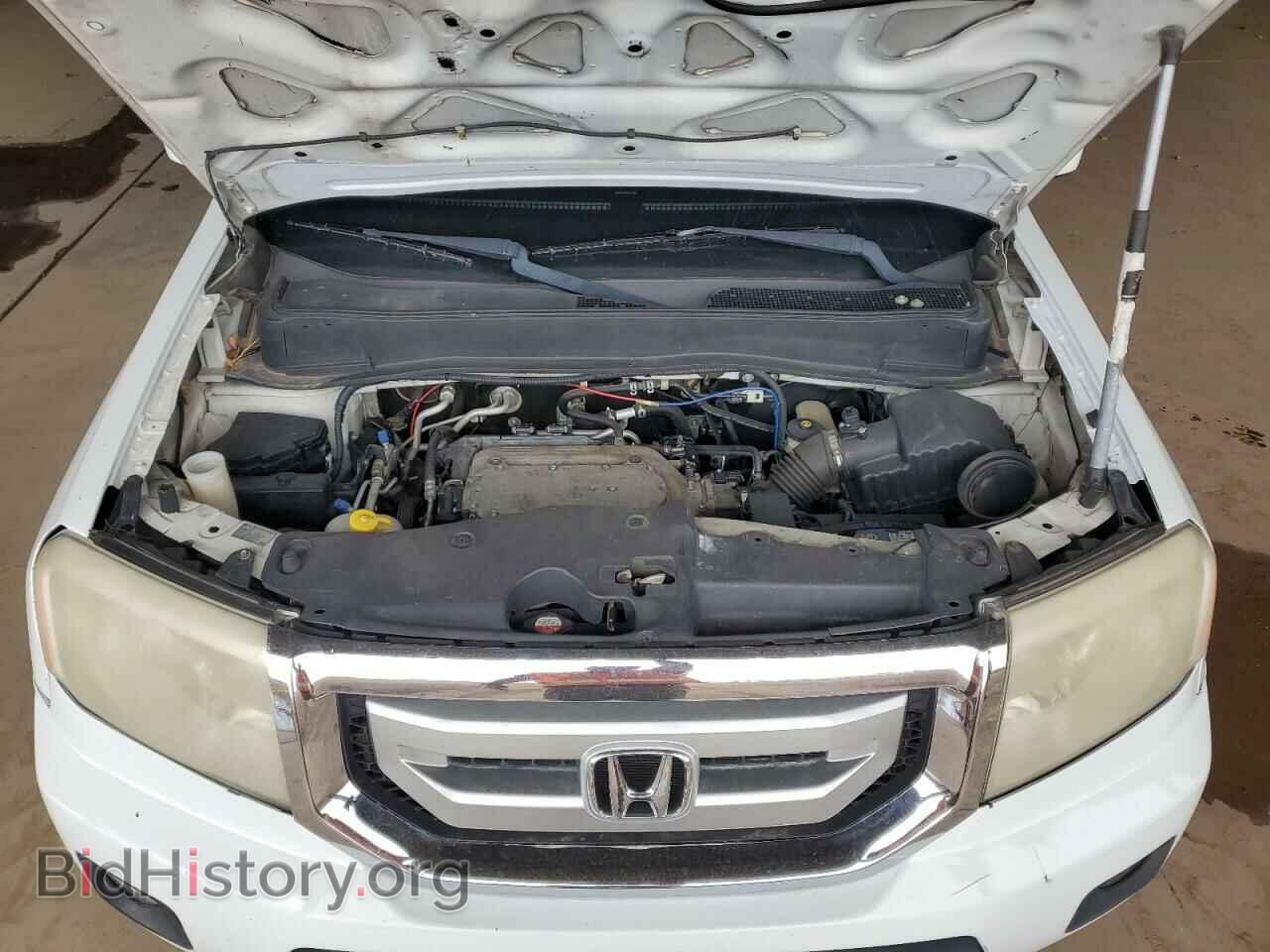2009 HONDA PILOT - VIN: 5FNYF48529B051751 - Фото 12