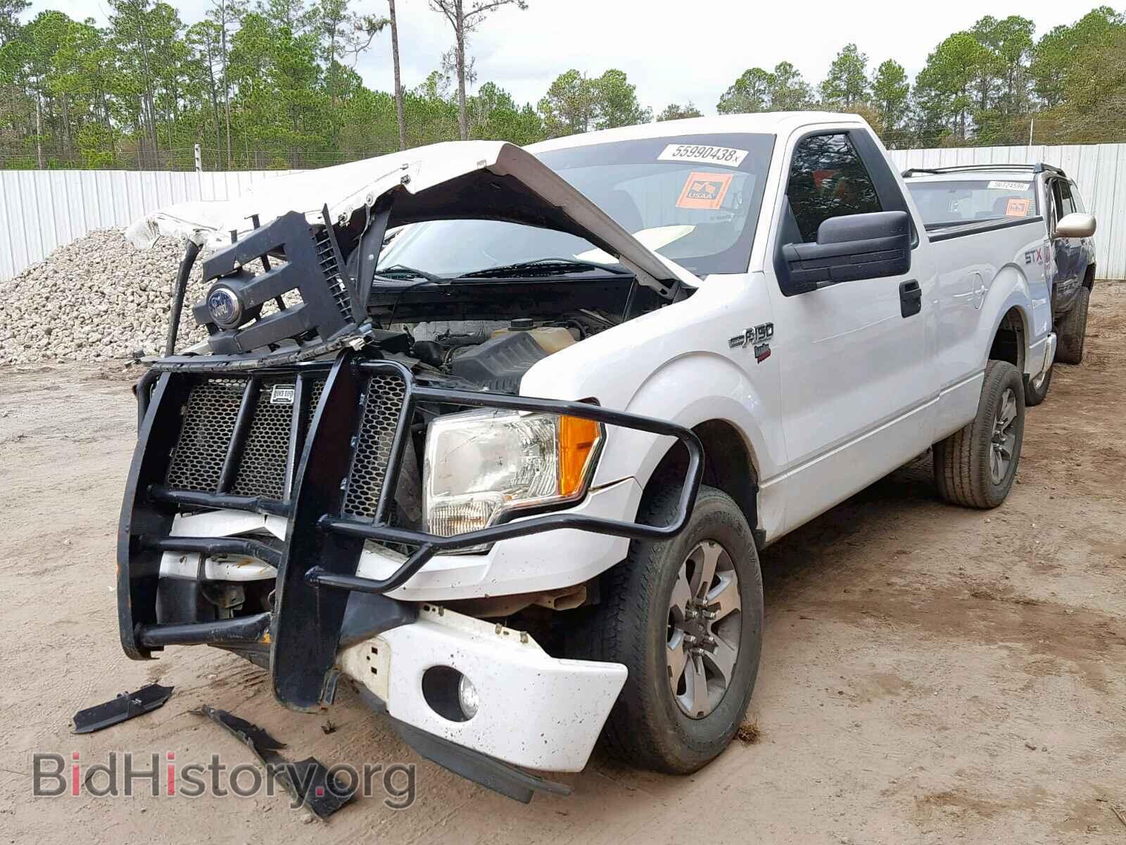 2011 FORD F150 - VIN: 1FTMF1EF0BFB60561 - Фото 2