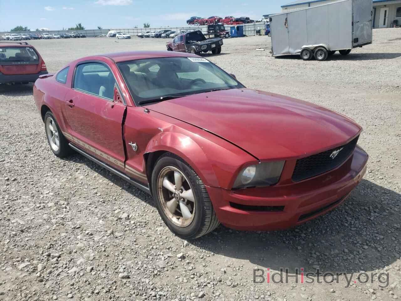 Photo 1ZVHT80N495108445 - FORD MUSTANG 2009