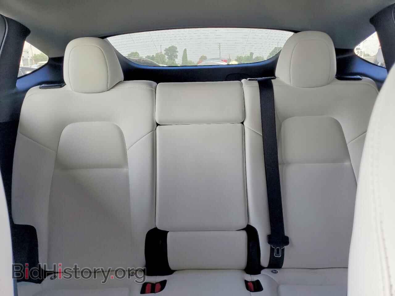 2024 TESLA MODEL Y - VIN: 7SAYGDEE1RF064947 - Photo 10