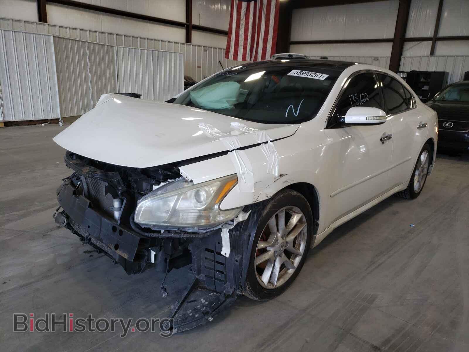2009 NISSAN MAXIMA - VIN: 1N4AA51E19C858622 - Фото 2