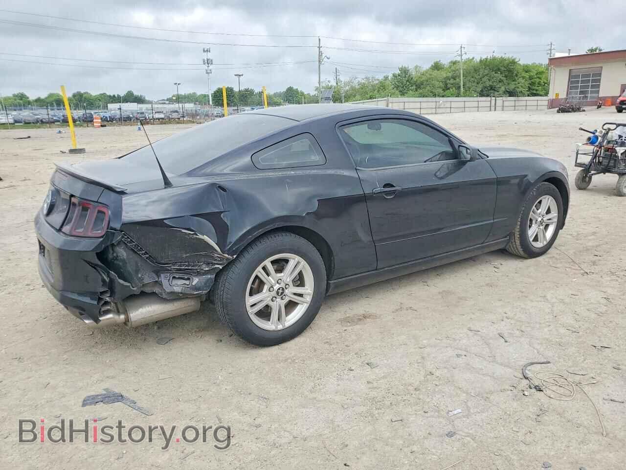 2013 FORD MUSTANG - VIN: 1ZVBP8AM0D5215839 - Фото 3