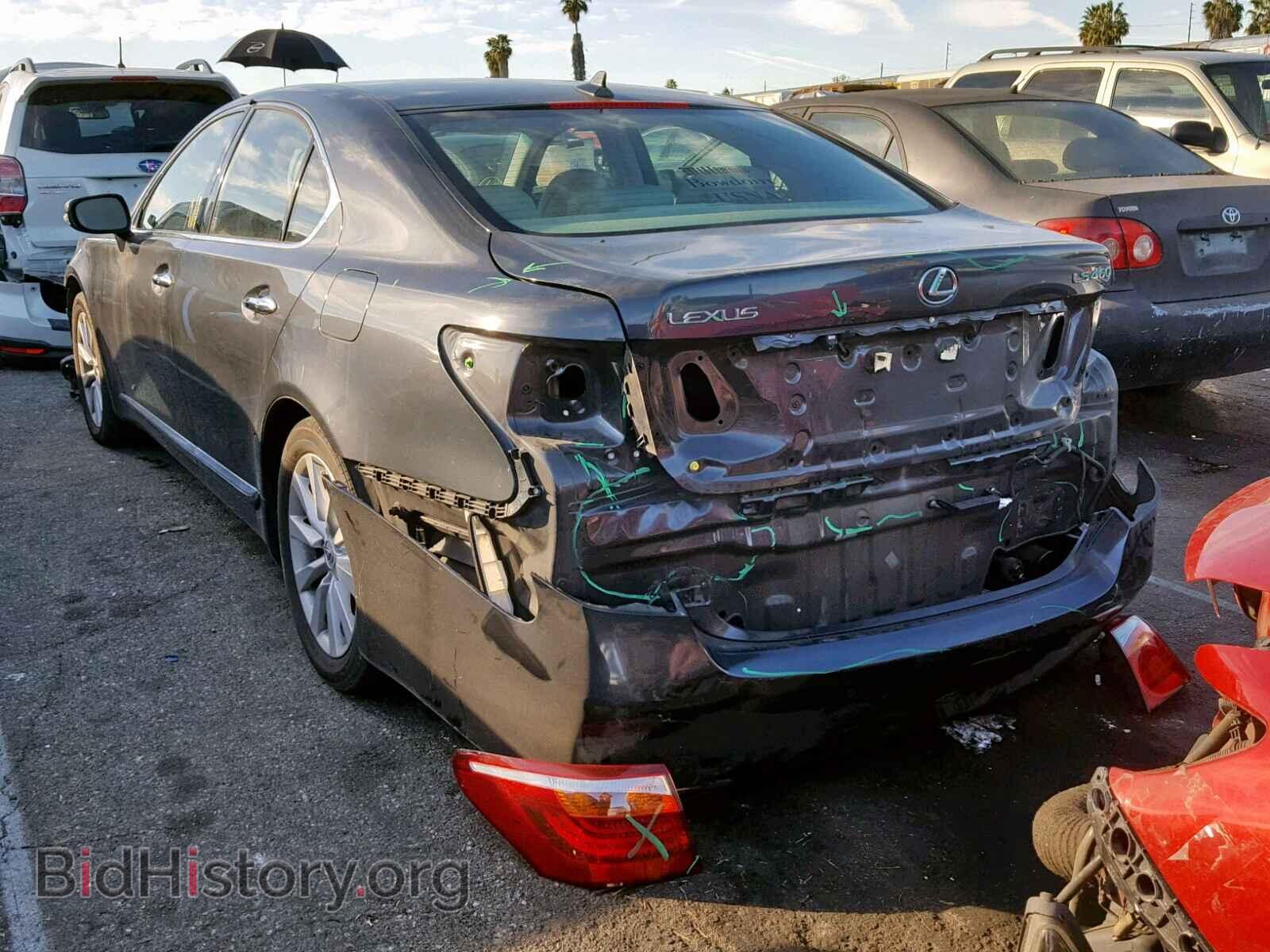2010 LEXUS LS460 - VIN: JTHBL5EF1A5091681 - Фото 3