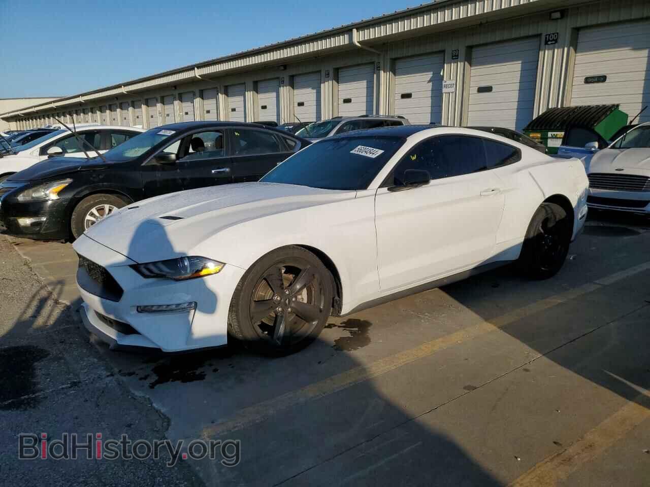 Photo 1FA6P8TH1M5117882 - FORD ALL Models 2021