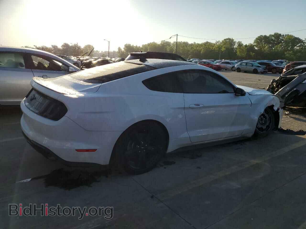 2021 FORD ALL Models - VIN: 1FA6P8TH1M5117882 - Фото 3