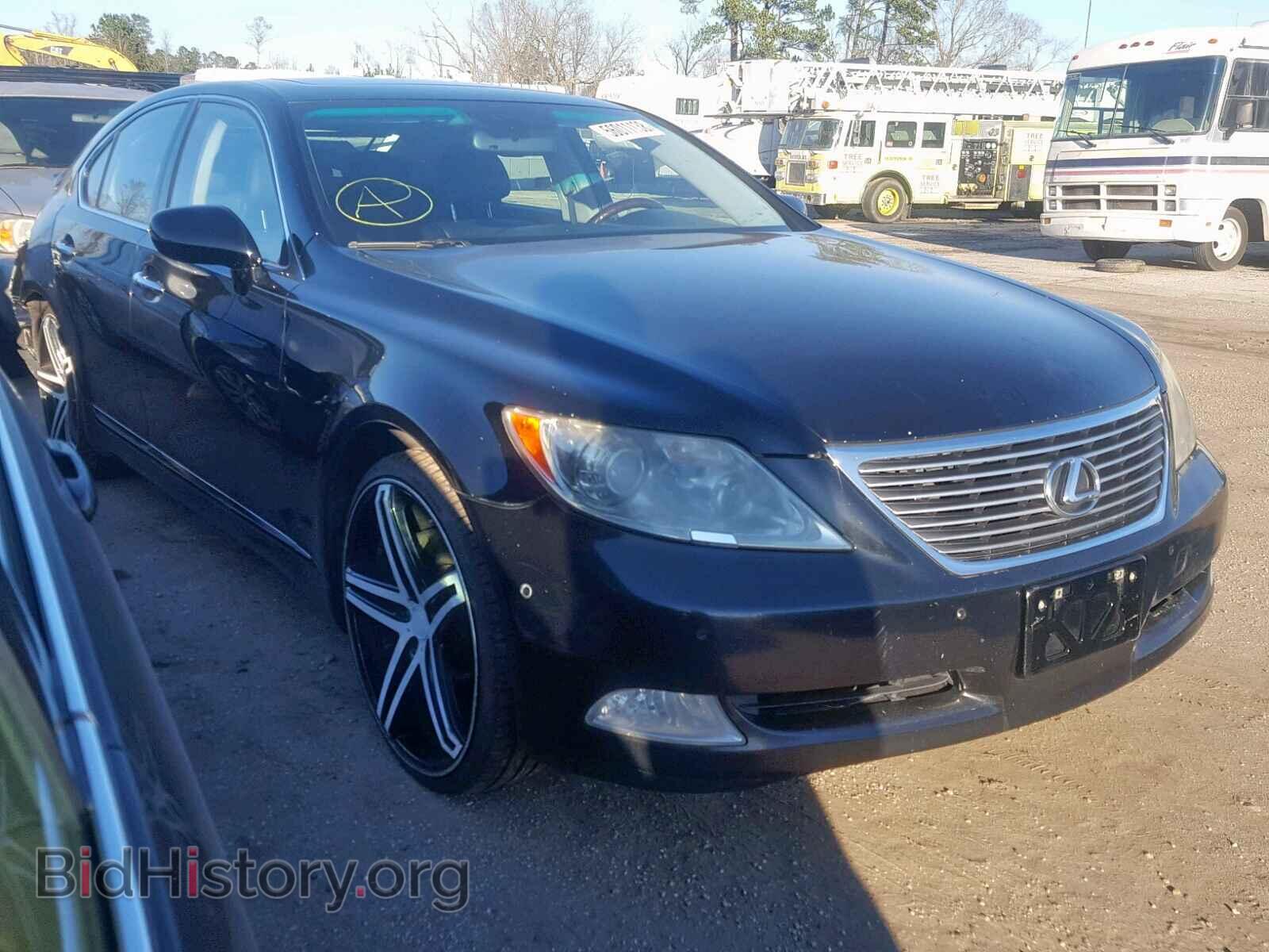 Фотография JTHCL46F695000980 - LEXUS LS460 2009