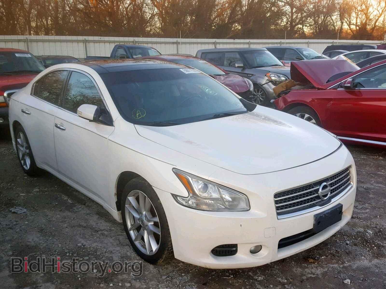 Фотография 1N4AA5AP8AC815756 - NISSAN MAXIMA S 2010