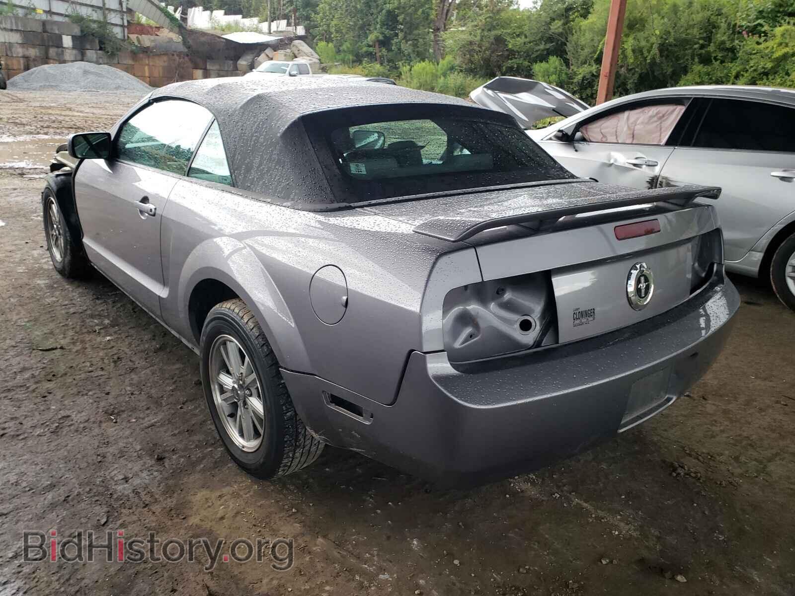 2006 FORD MUSTANG - VIN: 1ZVHT84N065228328 - Фото 3