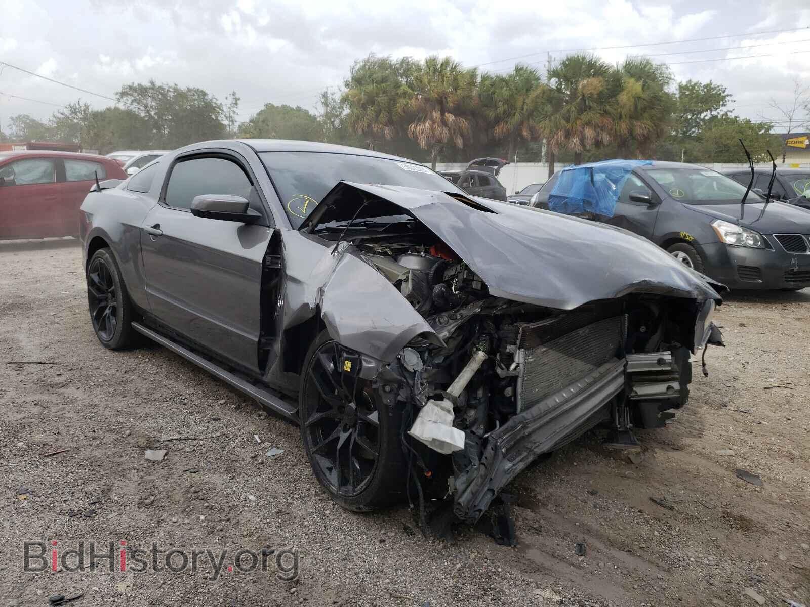 Photo 1ZVBP8CF2E5279400 - FORD MUSTANG 2014