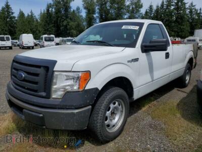 2013 Ford ALL MODELS, белый — VIN 1FTMF1CM2DKG35431, Copart
