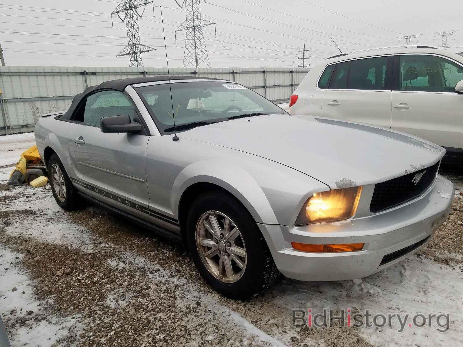 Photo 1ZVHT84N085182146 - FORD MUSTANG 2008