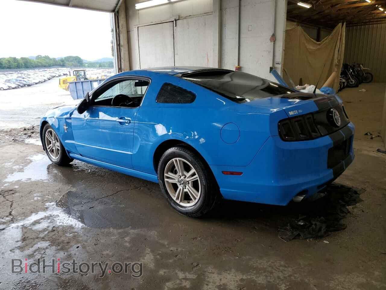 2013 FORD ALL Models - VIN: 1ZVBP8AM8D5268207 - Фото 2