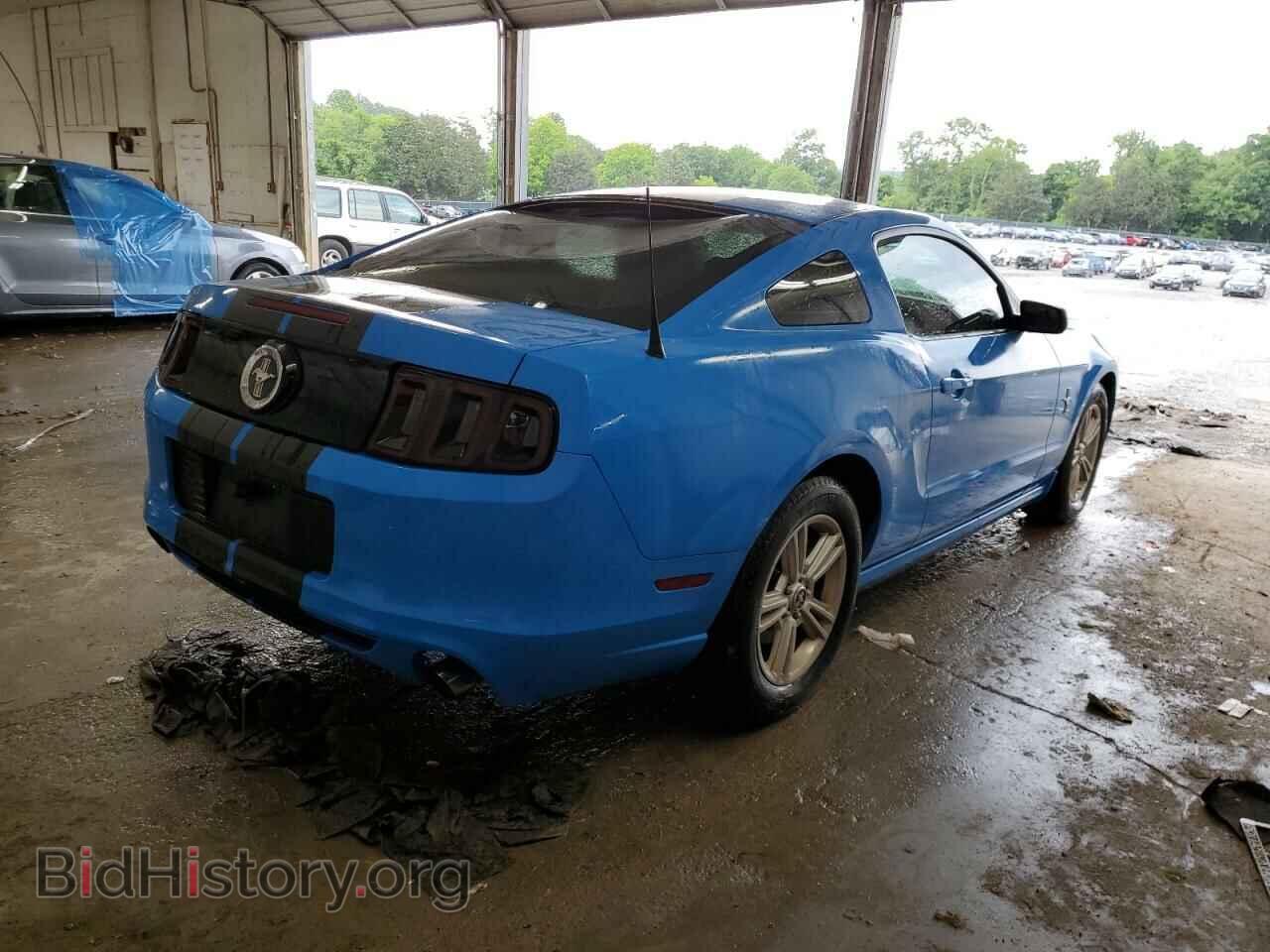 2013 FORD ALL Models - VIN: 1ZVBP8AM8D5268207 - Фото 3