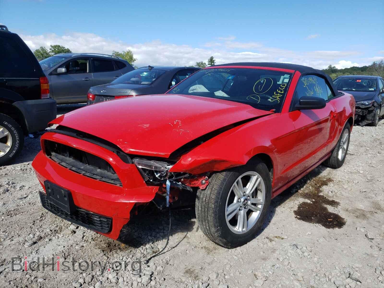 2013 FORD MUSTANG - VIN: 1ZVBP8EM6D5220098 - Фото 2