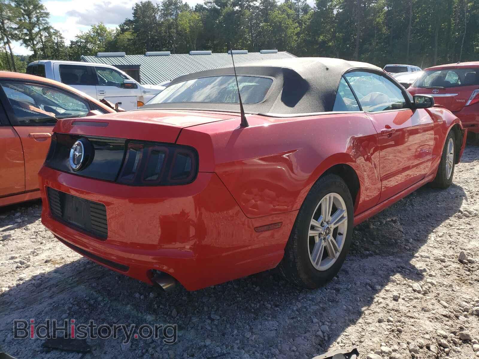 2013 FORD MUSTANG - VIN: 1ZVBP8EM6D5220098 - Фото 4