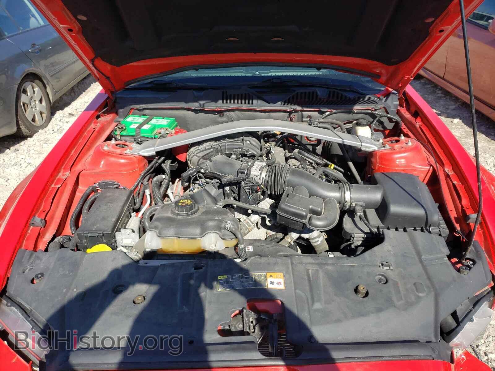 2013 FORD MUSTANG - VIN: 1ZVBP8EM6D5220098 - Фото 7