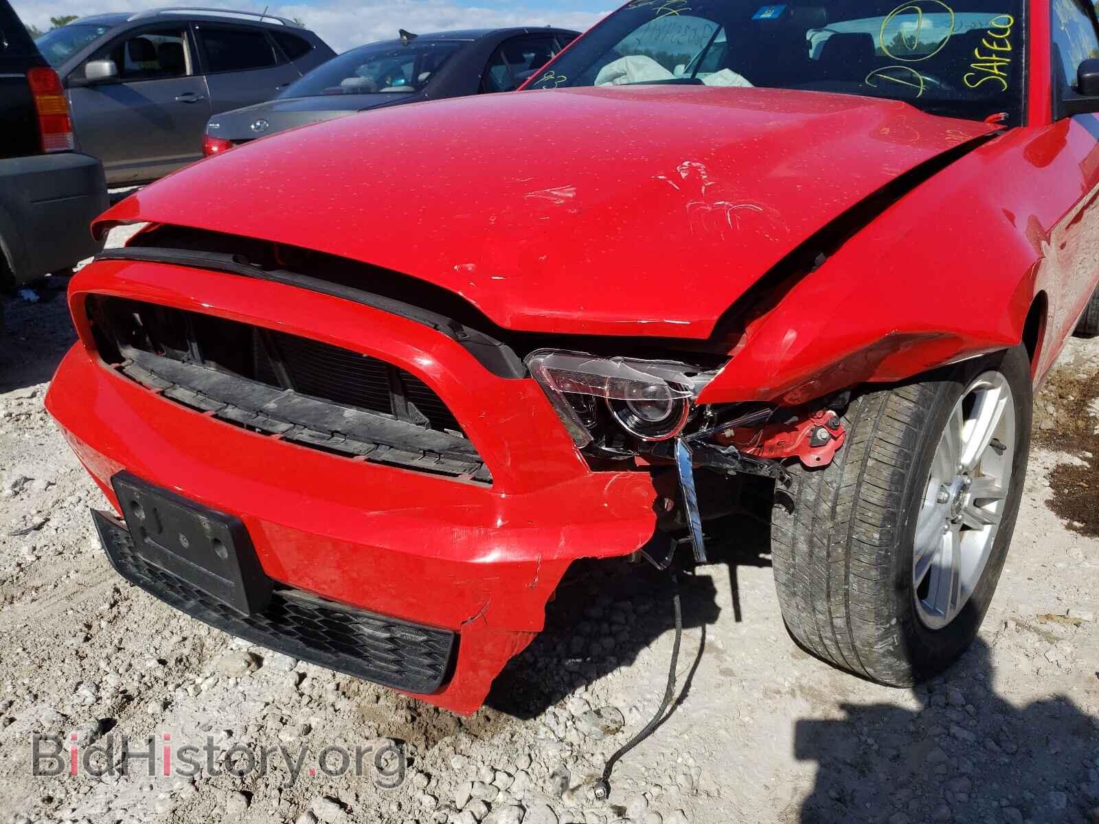 2013 FORD MUSTANG - VIN: 1ZVBP8EM6D5220098 - Фото 9