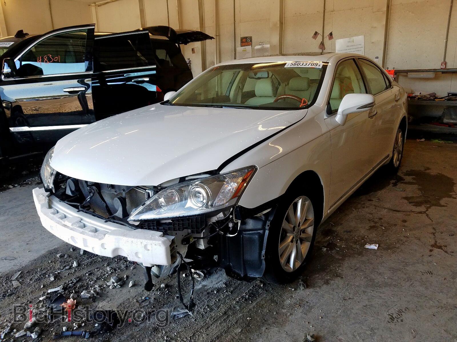 2010 LEXUS ES350 - VIN: JTHBK1EG0A2389631 - Фото 2