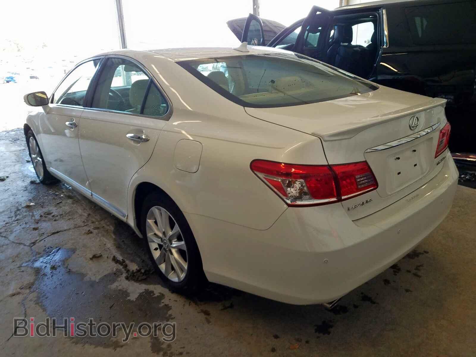 2010 LEXUS ES350 - VIN: JTHBK1EG0A2389631 - Фото 3