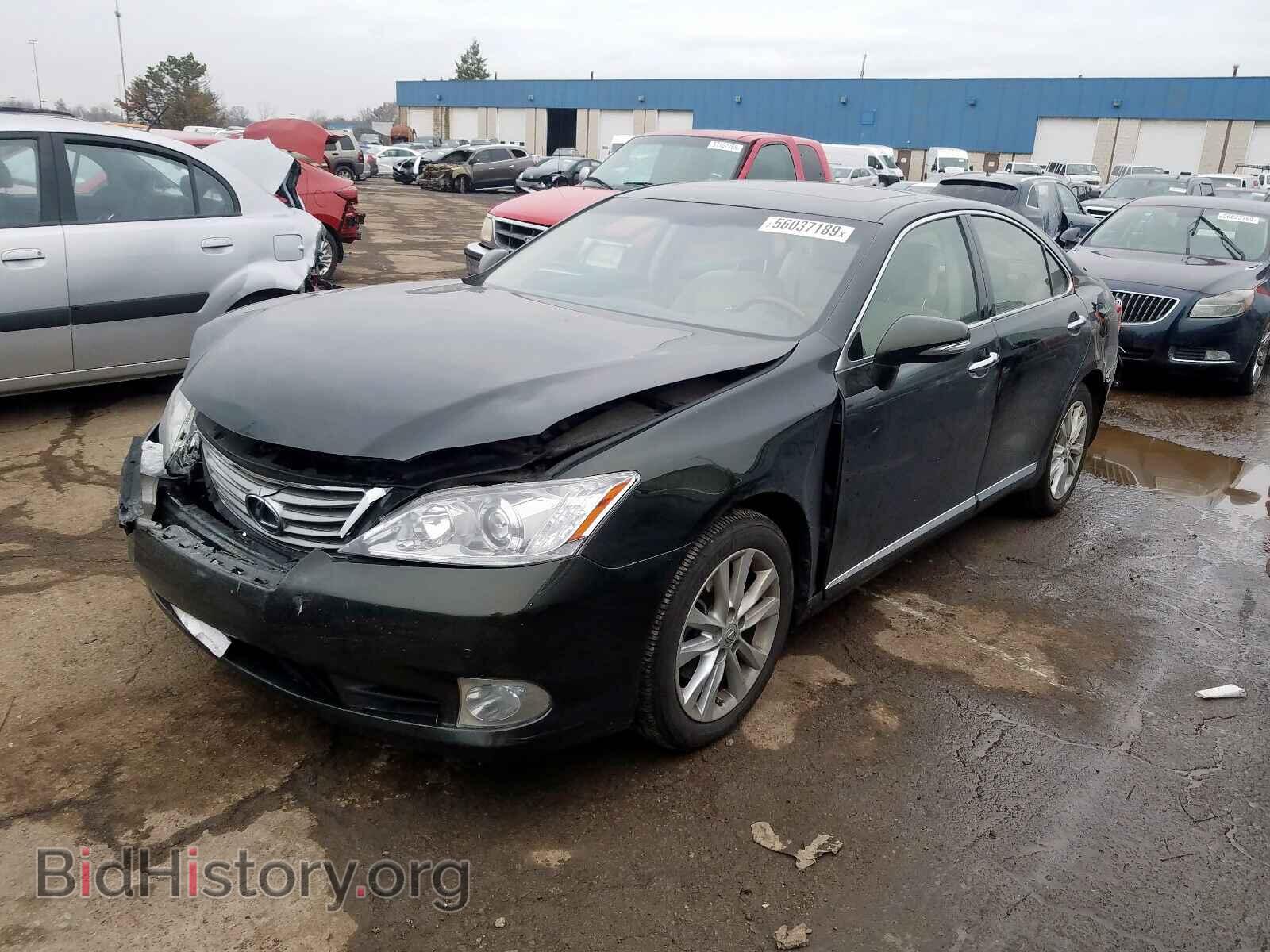 2010 LEXUS ES350 - VIN: JTHBK1EG8A2411455 - Фото 2