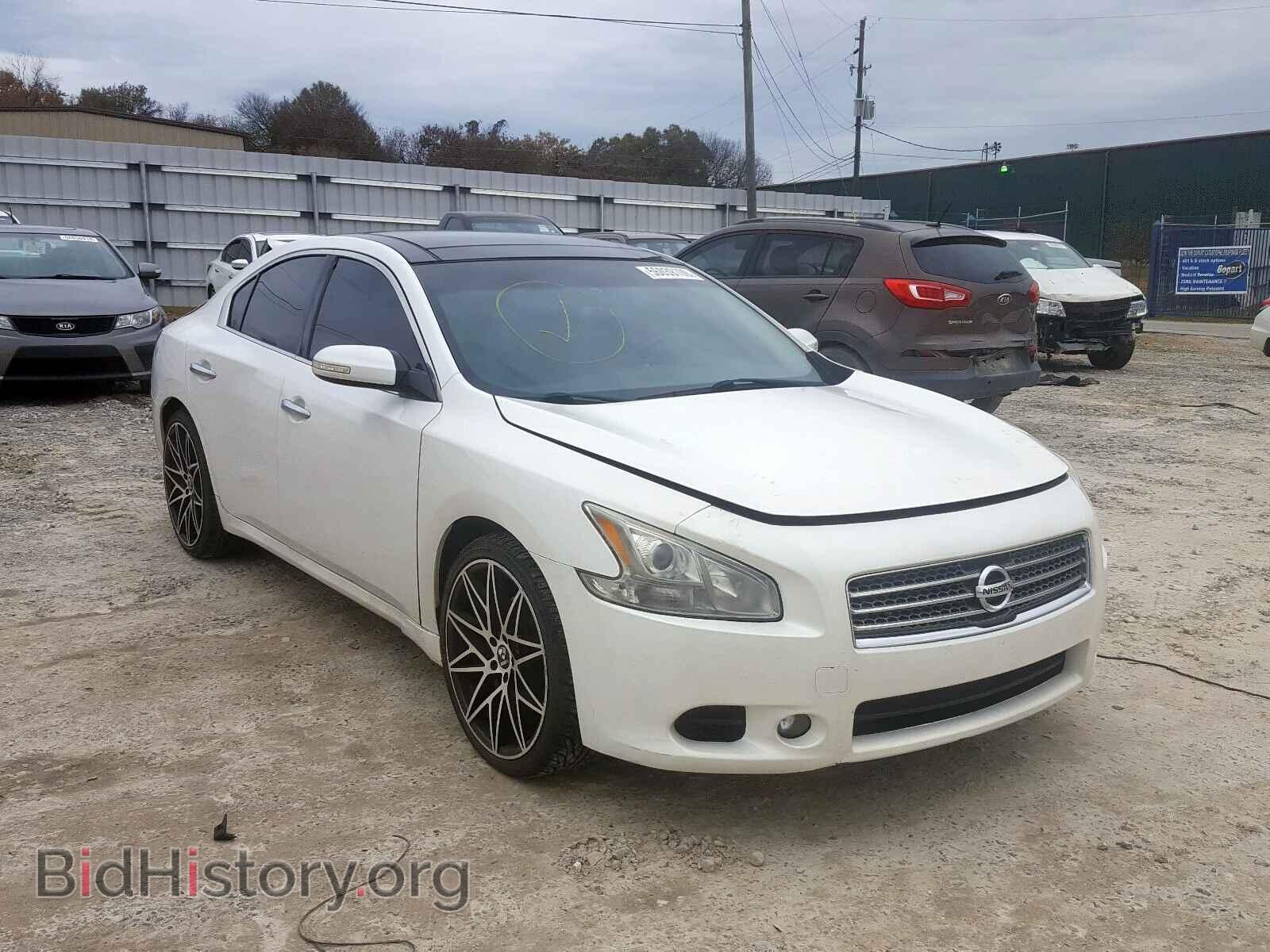 Фотография 1N4AA5AP7BC857739 - NISSAN MAXIMA S 2011
