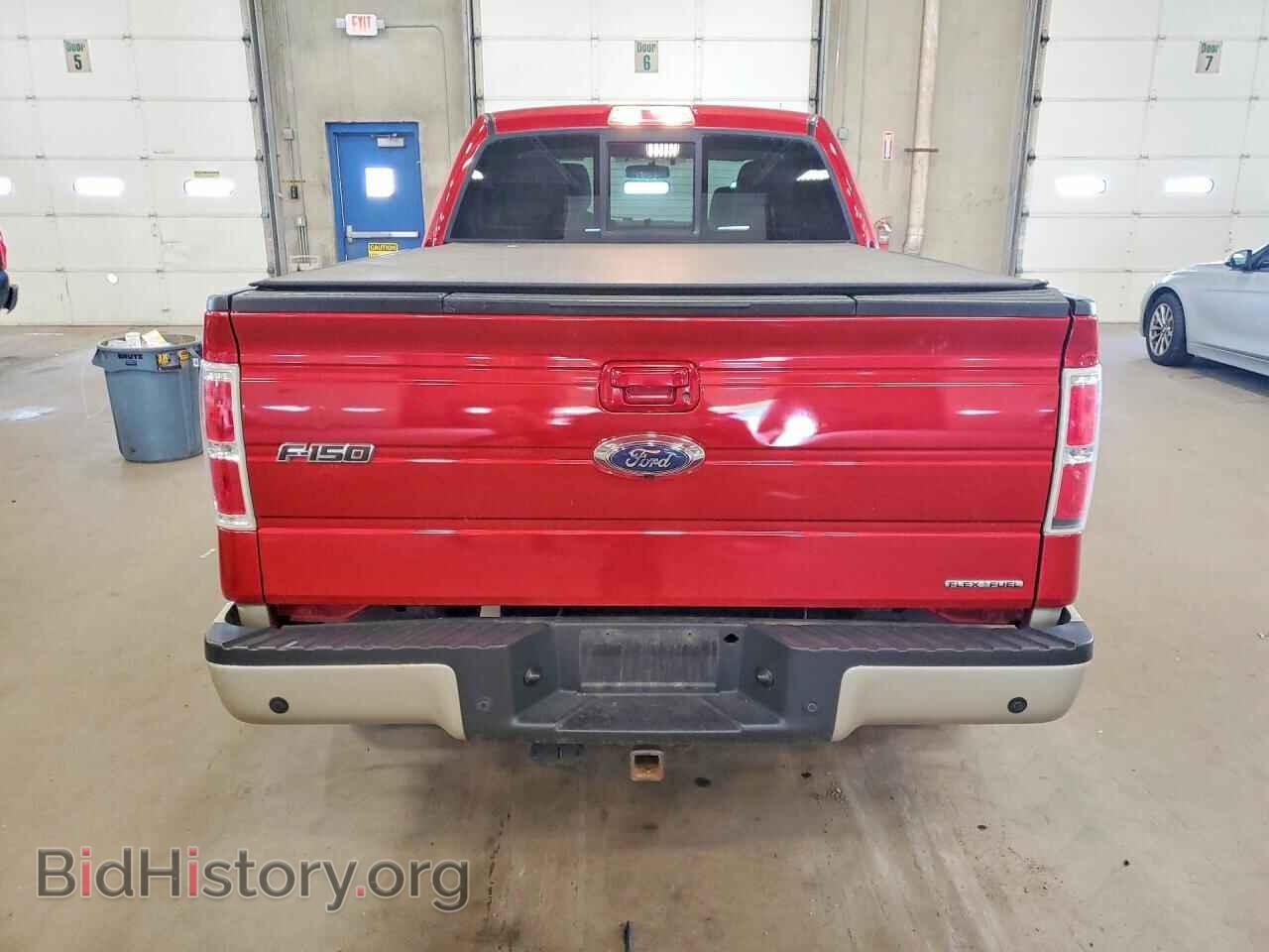 2010 FORD F150 - VIN: 1FTFW1EV5AFD04555 - Фото 6