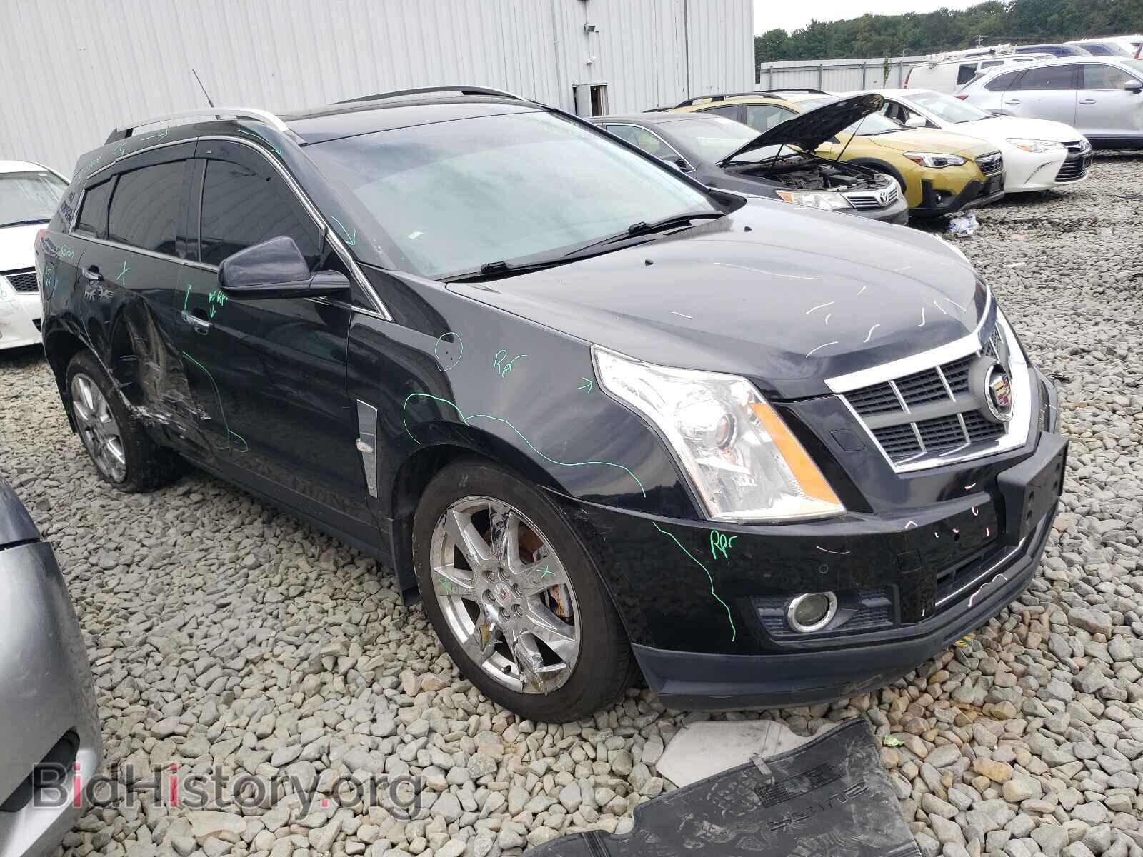 Photo 3GYFNFEY9BS589438 - CADILLAC SRX 2011