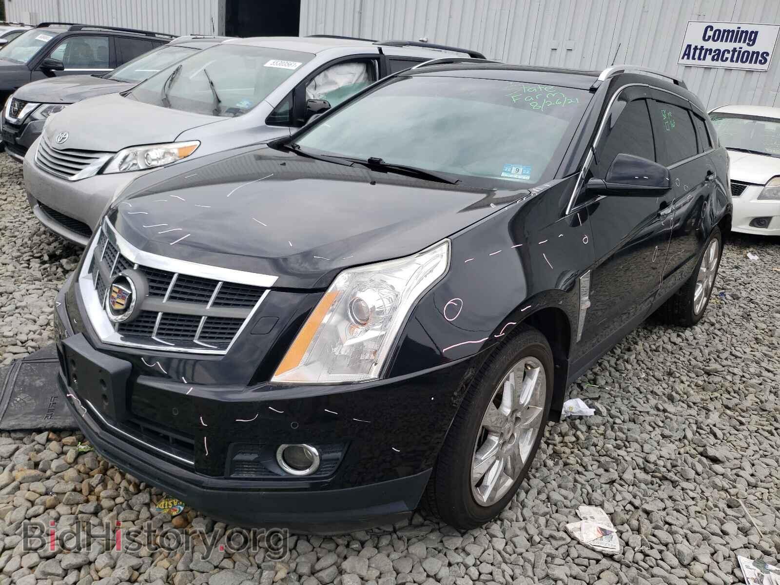 2011 CADILLAC SRX - VIN: 3GYFNFEY9BS589438 - Фото 2