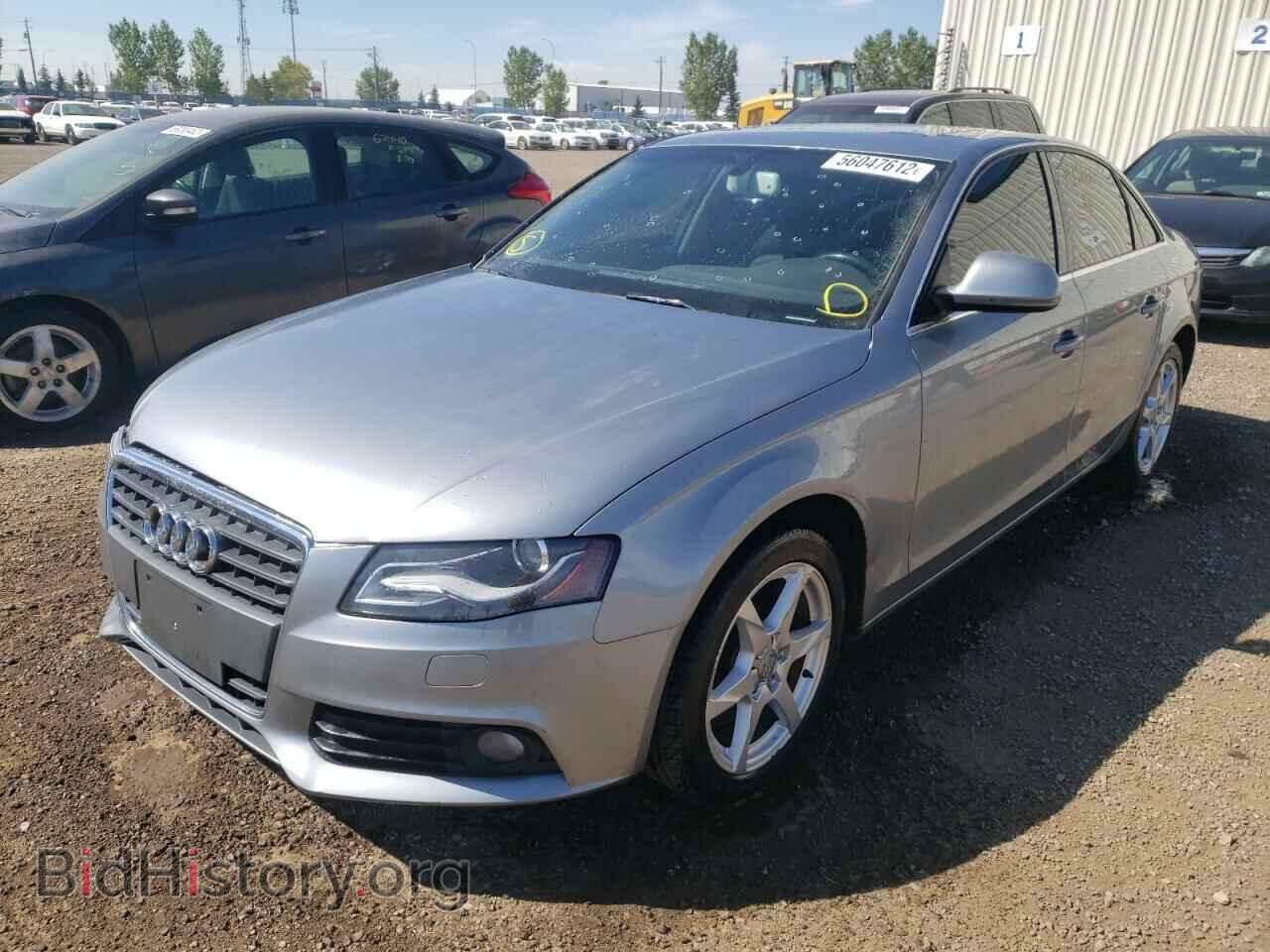 2009 AUDI A4 - VIN: WAULF68K29N025614 - Фото 2