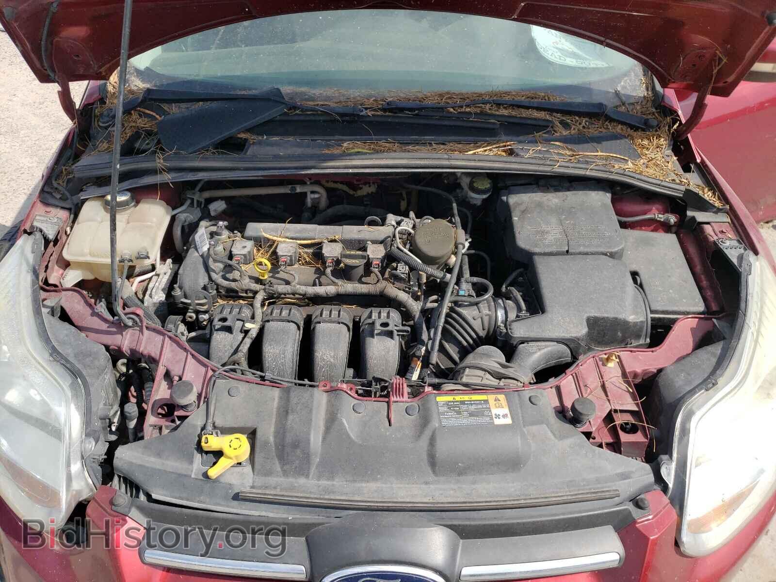 2013 FORD FOCUS - VIN: 1FADP3F29DL381087 - Фото 7